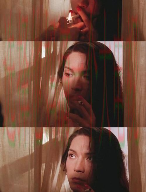 尊龙官网最新下载链接